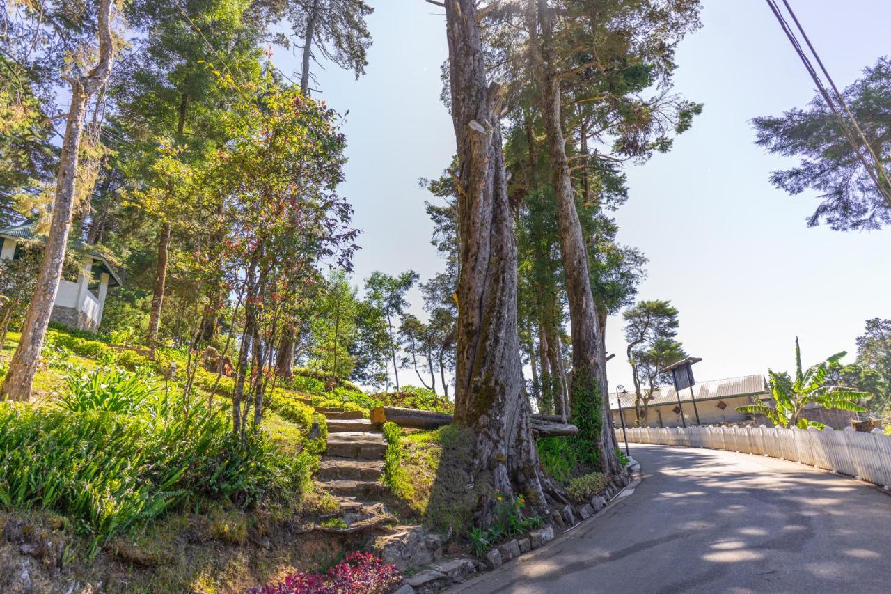 Mirage Kings Cottage Nuwara Eliya Ngoại thất bức ảnh