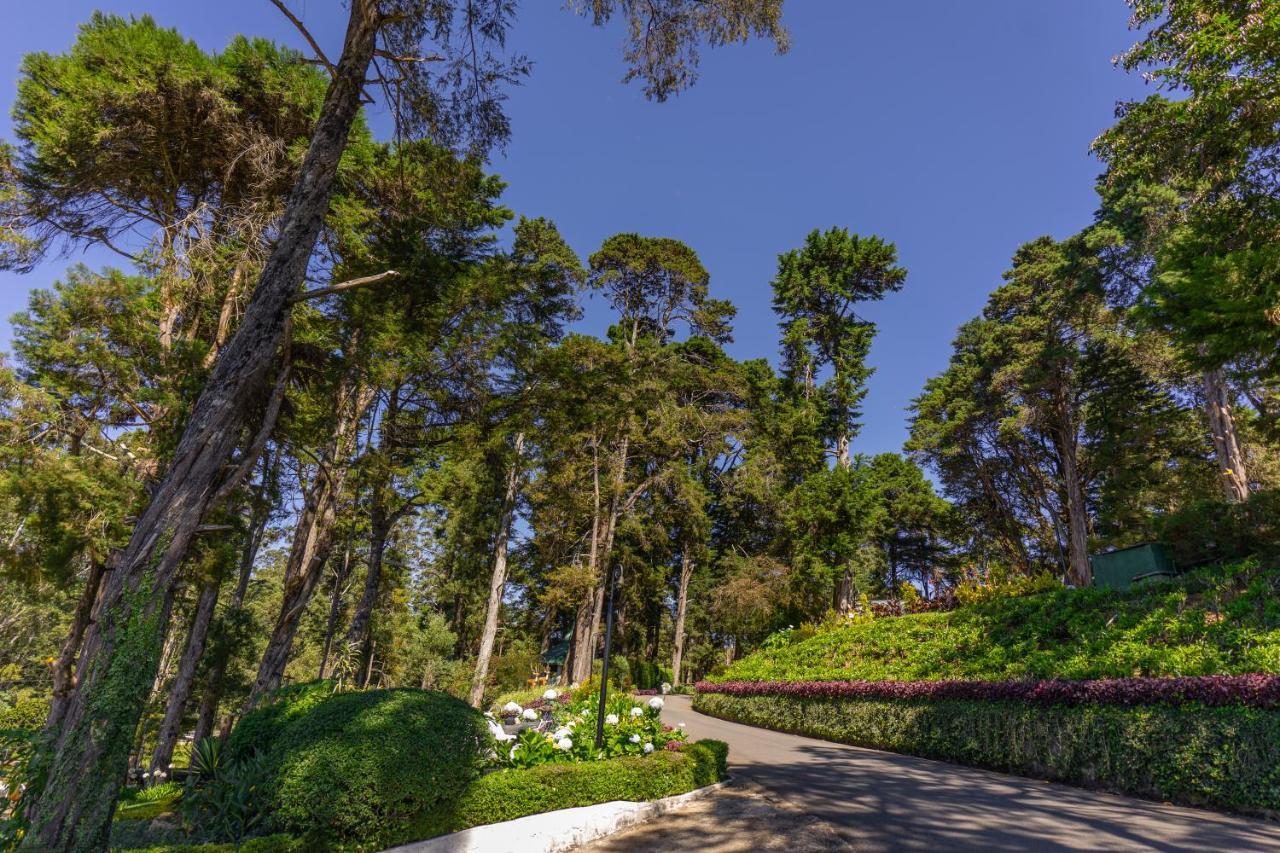 Mirage Kings Cottage Nuwara Eliya Ngoại thất bức ảnh