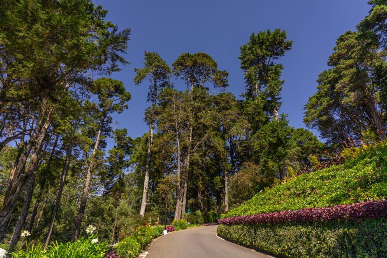Mirage Kings Cottage Nuwara Eliya Ngoại thất bức ảnh